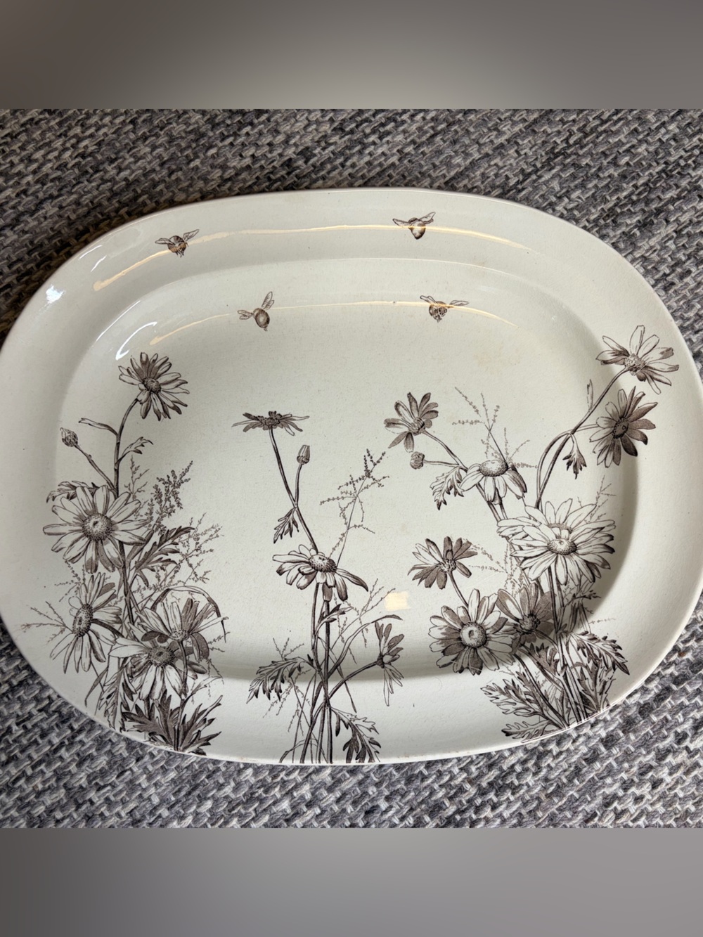 RARE!! George Jones and Sons Bees and Daisies Brown Transferware